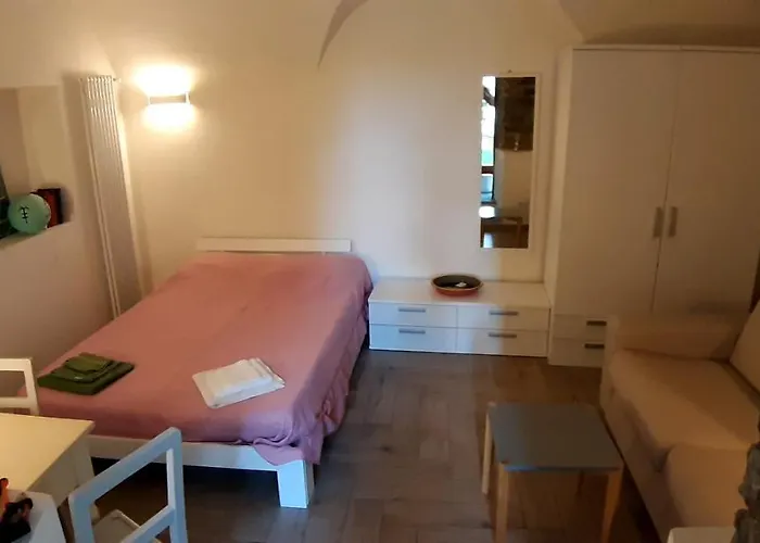 Camelia 프레메노