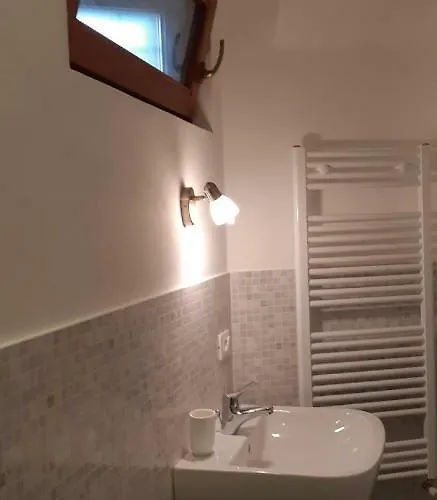 Camelia 프레메노